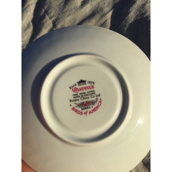 Vintage Queen’s Rosina birds of america 1 belted kingfisher cup saucer England - Picture 7 of 8